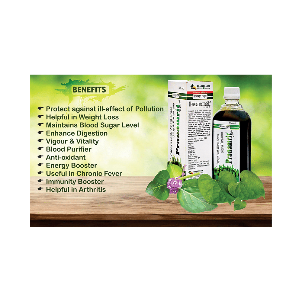 Pranacharya Green Shield Pranamrit Juice - Image 2