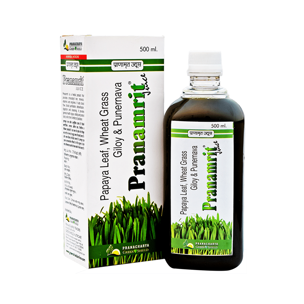 Pranacharya Green Shield Pranamrit Juice - Image 1