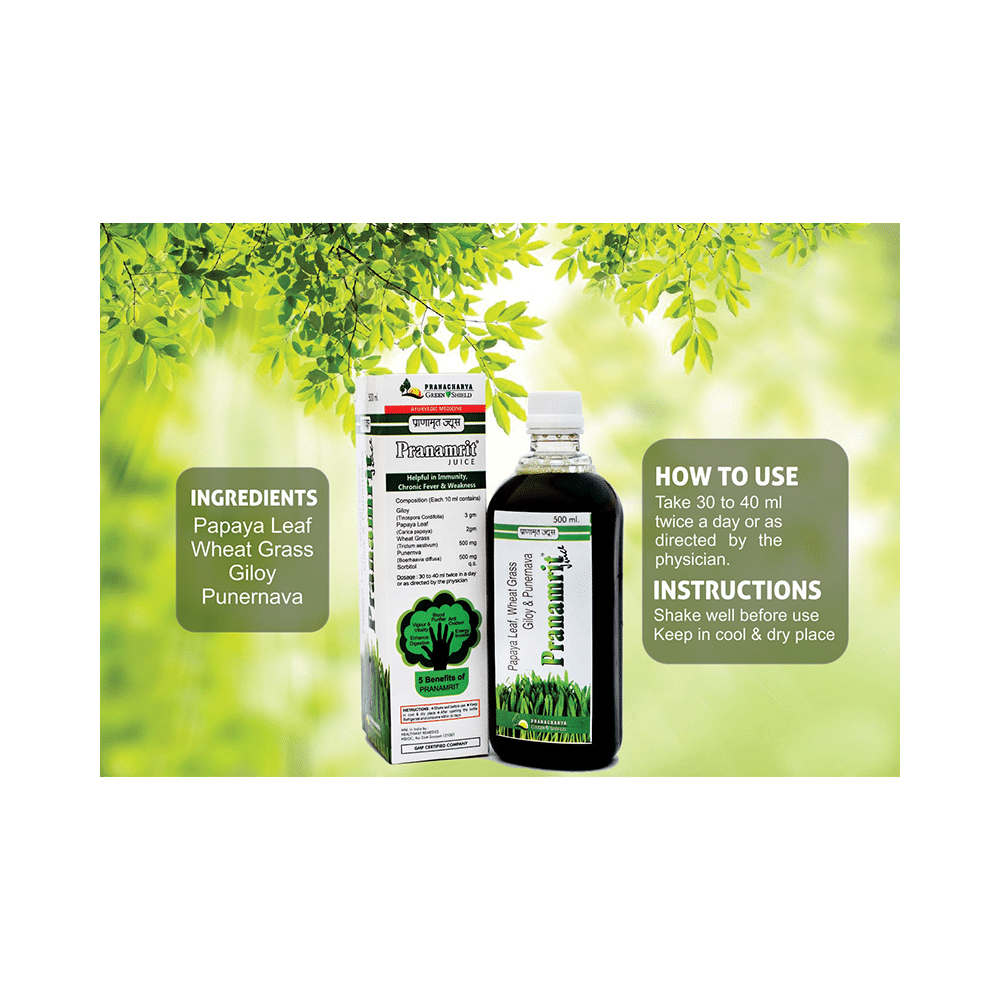 Pranacharya Green Shield Pranamrit Juice - Image 3