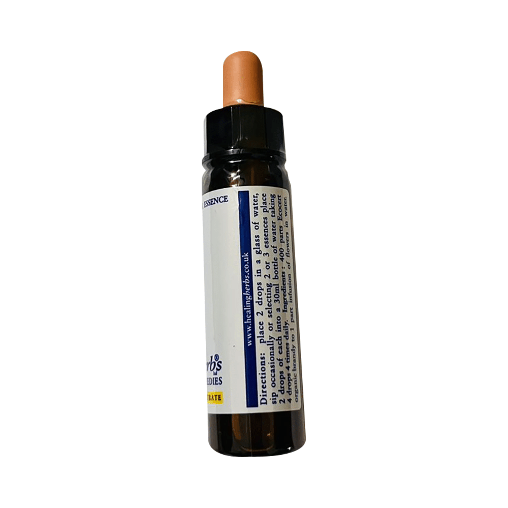 Healing Herbs Bach Flower White Chestnut - Image 3