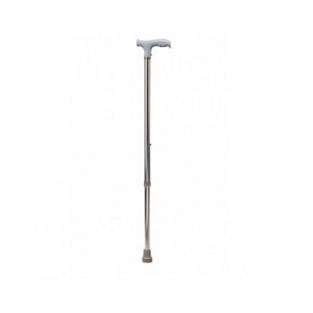 Renewa FS920L Imported Single Stick Silver - Image 1