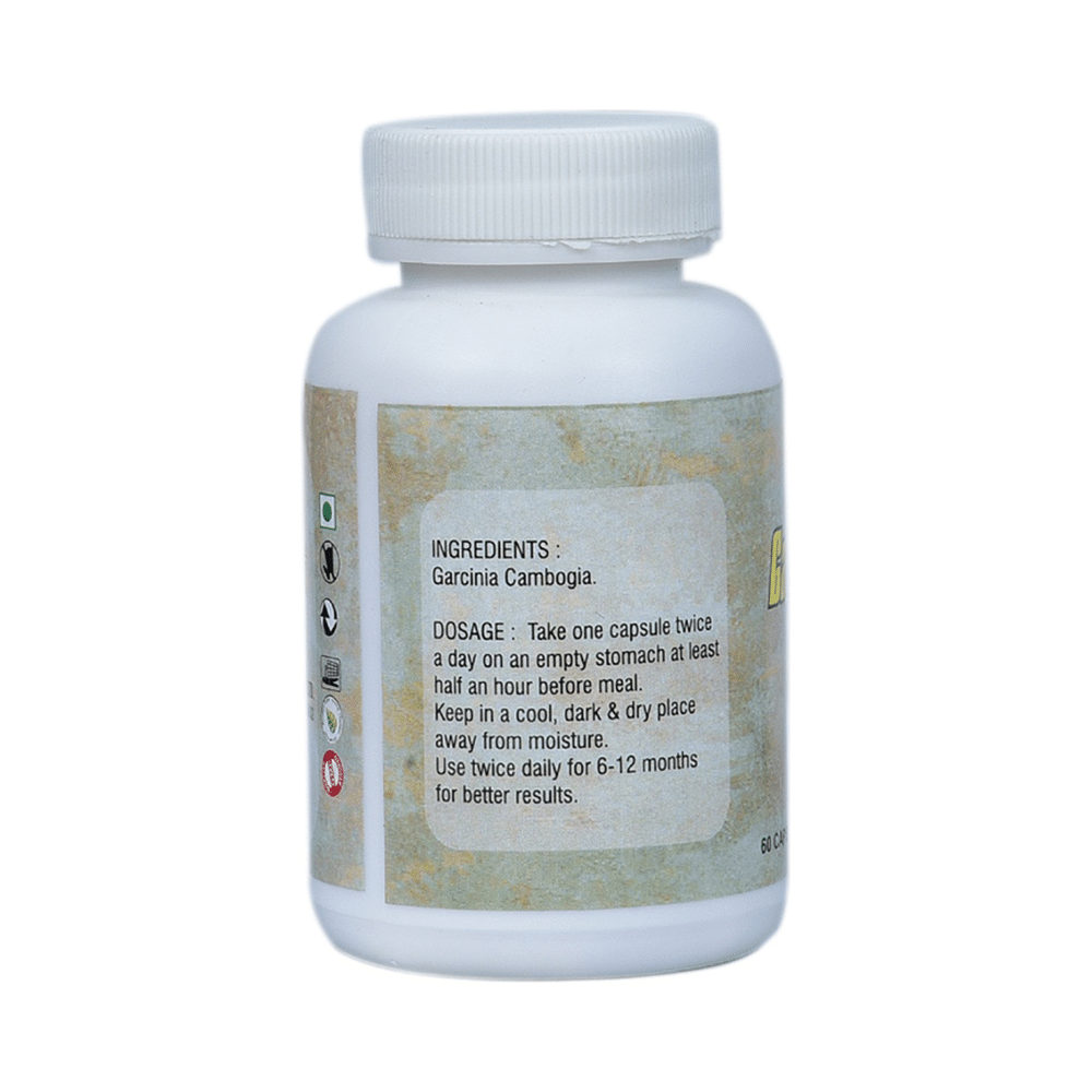 Stynus Garcinia Cambogia 45% HCA Capsule - Image 2