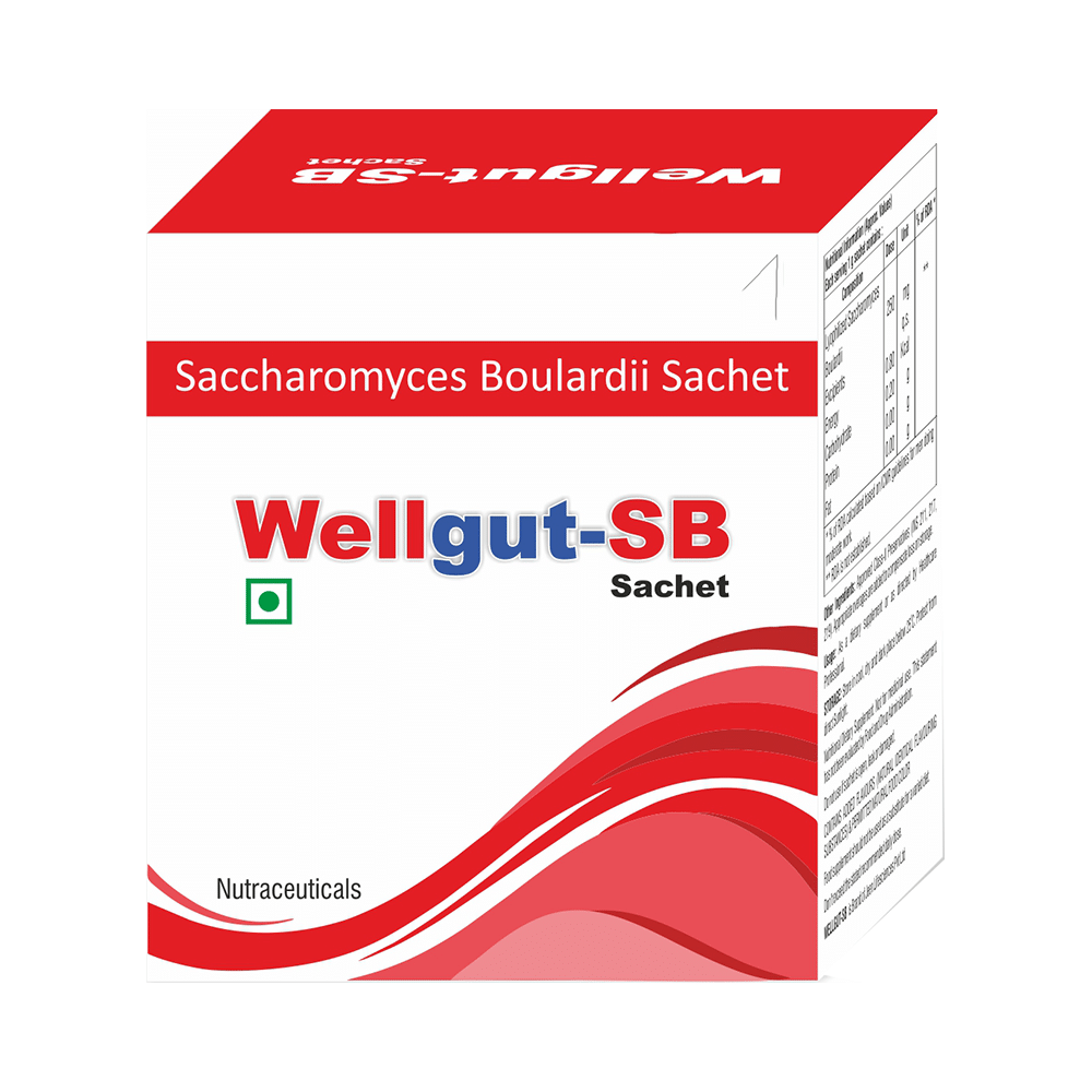 Wellgut-SB Sachet - Image 1