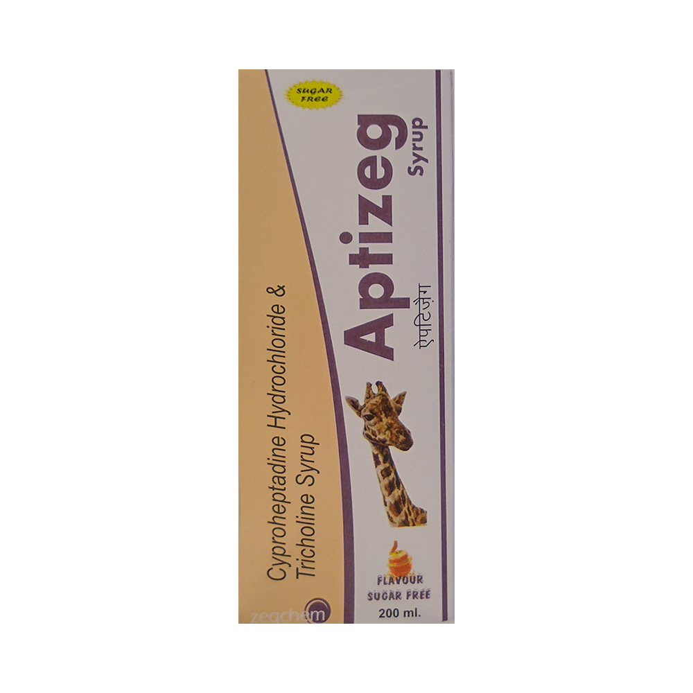 Aptizeg Syrup Orange Sugar Free