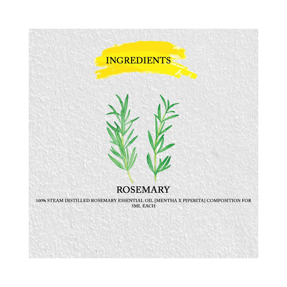 Roots and Herbs Rosemary Essential Oil - Image 3