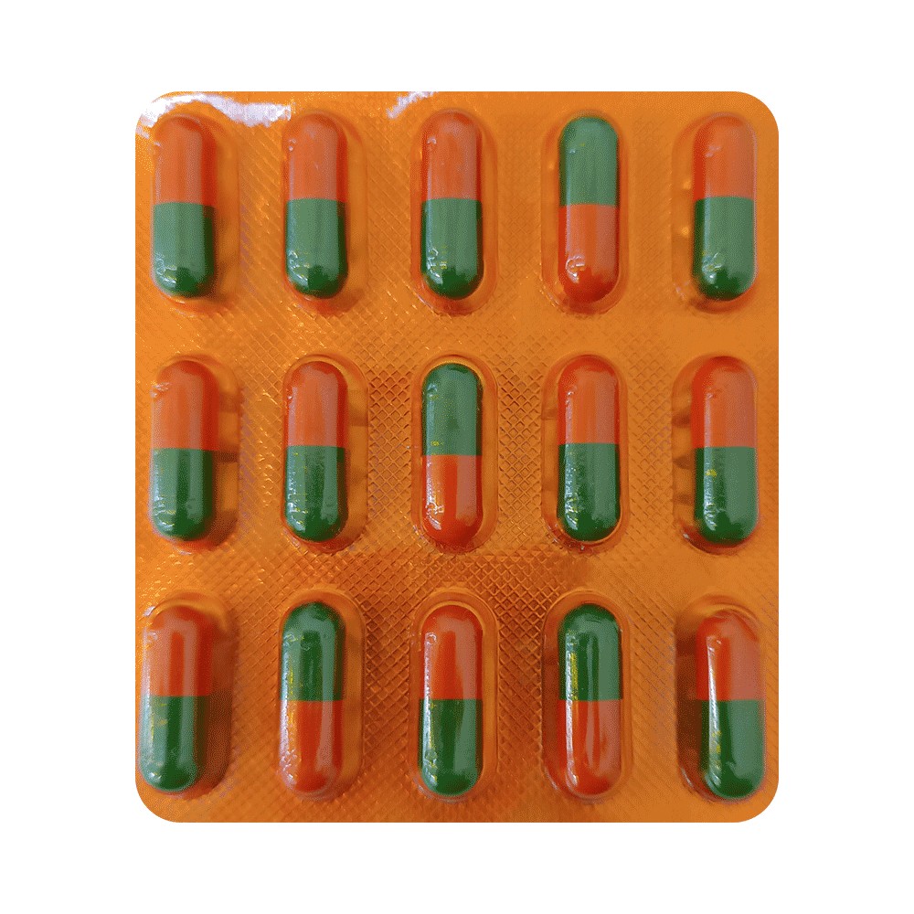 BNC Capsule - Image 2