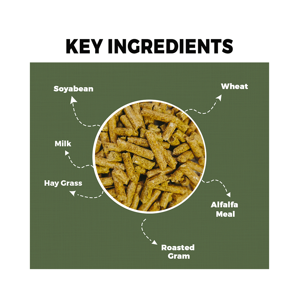 Petvit Rabbit Pet Food - Image 6