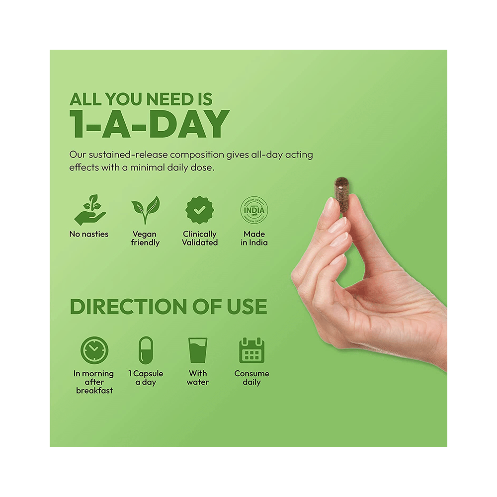 Nature & Thought Zen Panda Ashwagandha Capsule for All Day Stress Management Support - Image 4
