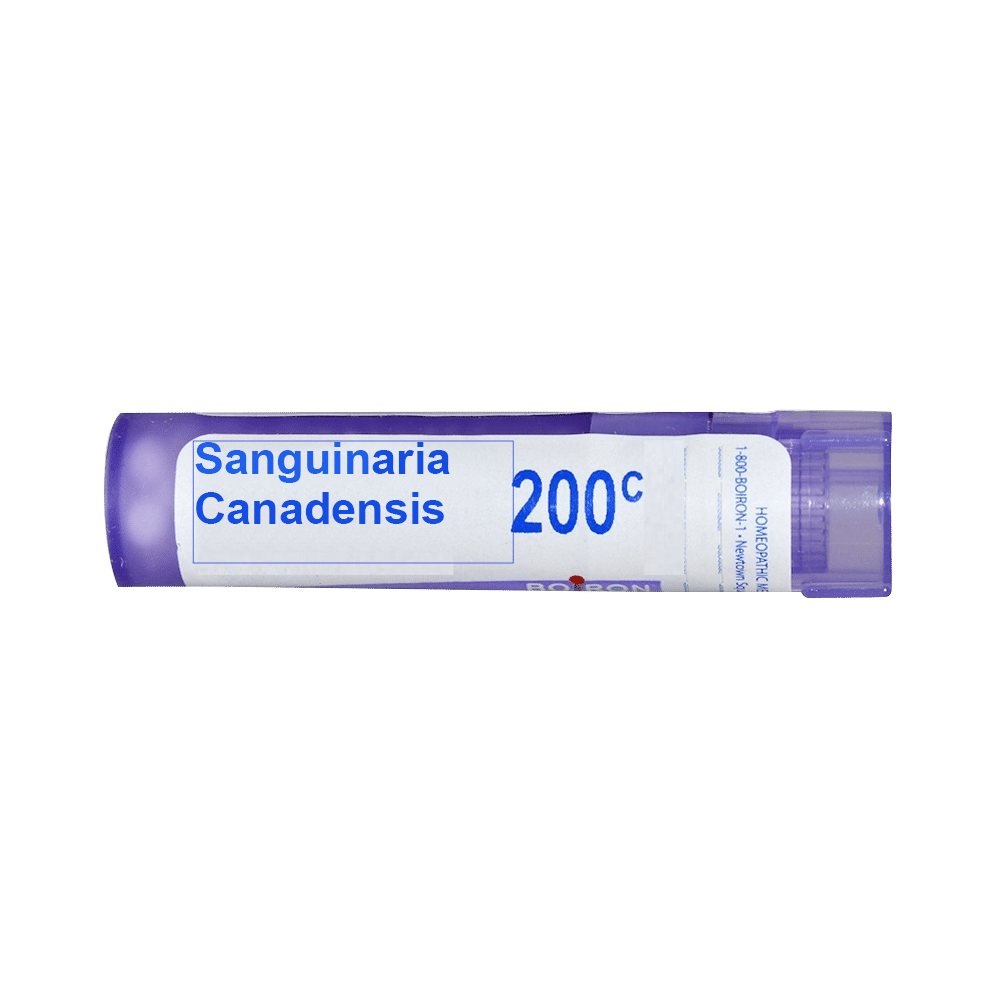 Boiron Sanguinaria Canadensis Multi Dose Approx 80 Pellets 200 CH - Image 1
