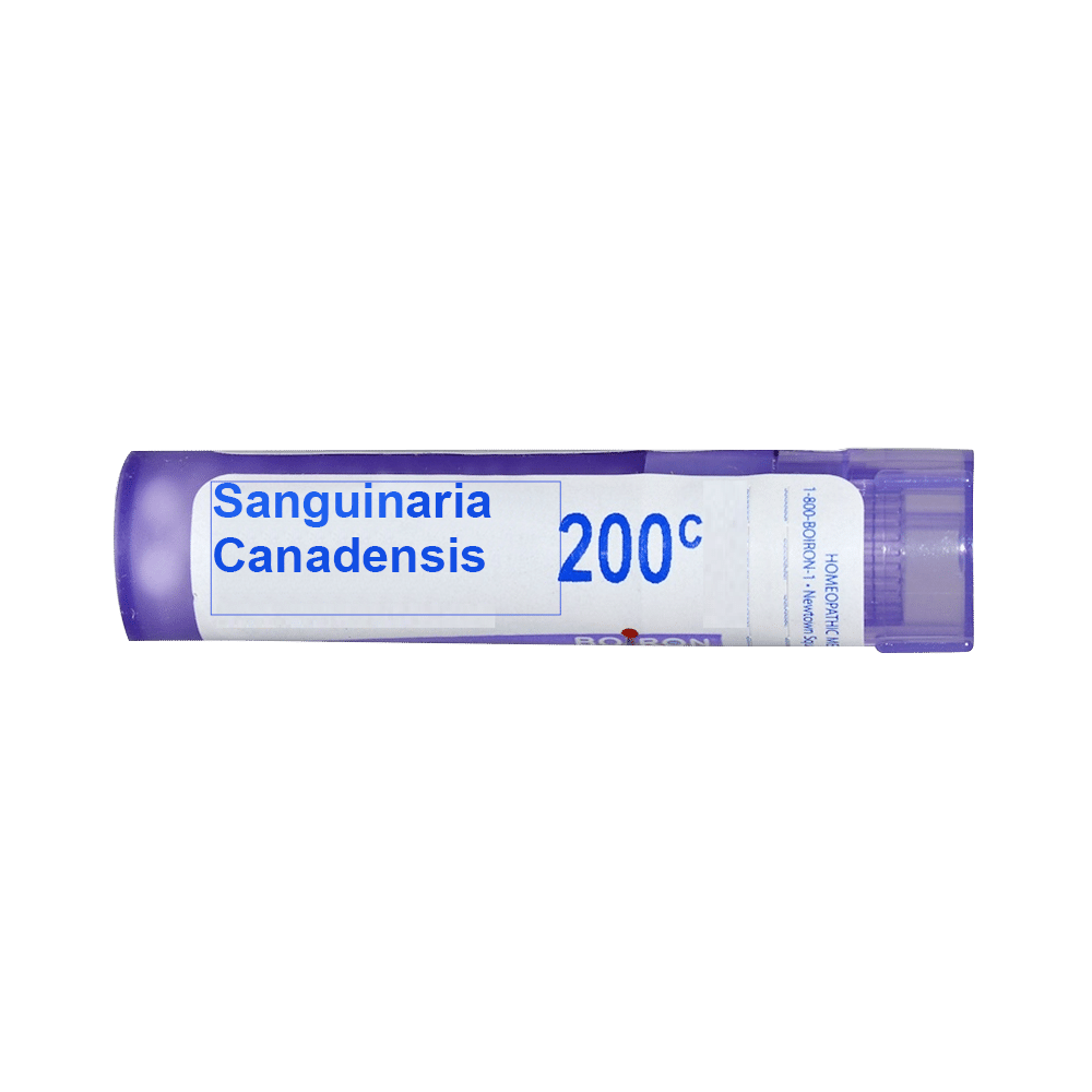 Boiron Sanguinaria Canadensis Multi Dose Approx 80 Pellets 200 CH