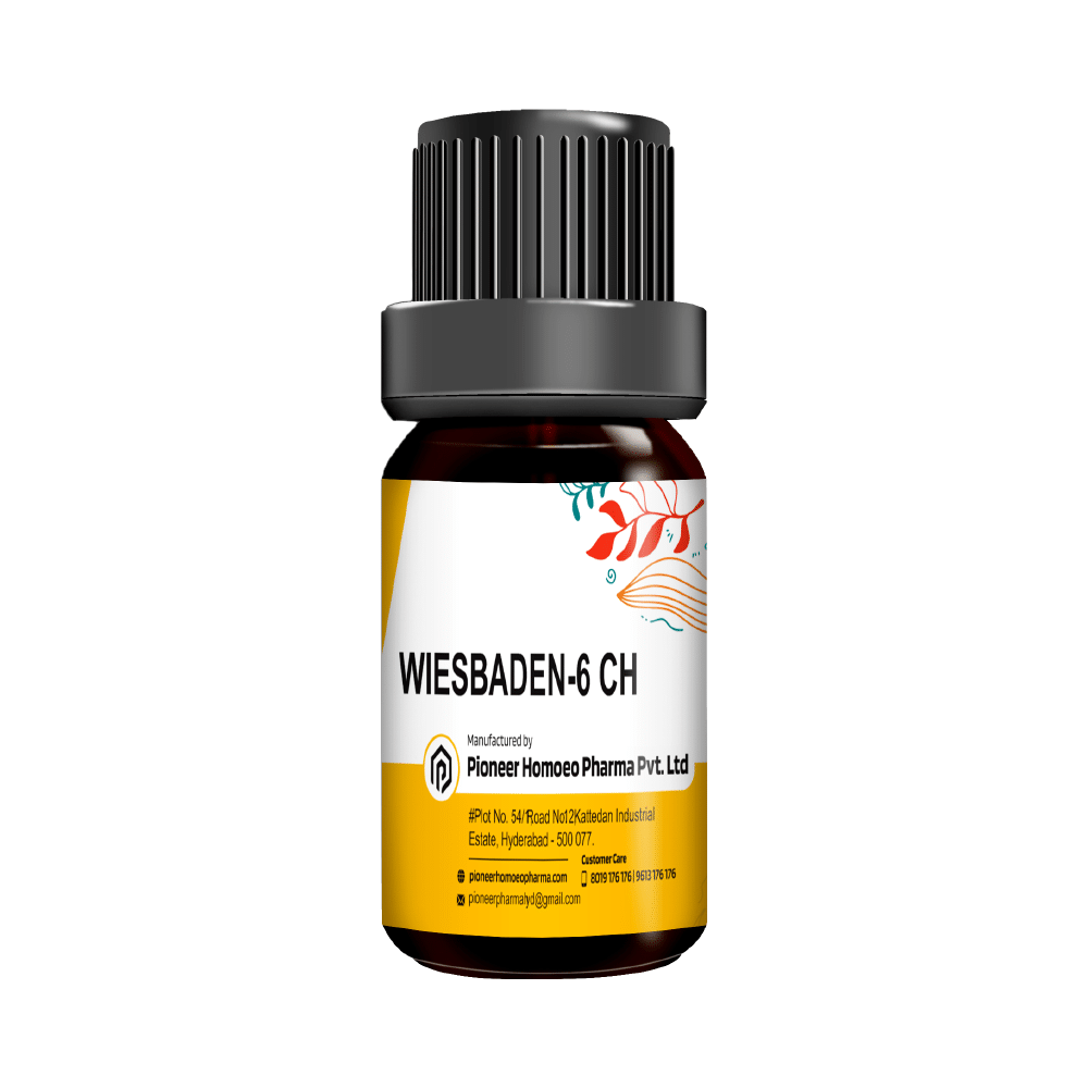 Pioneer Pharma Wiesbaden Globules Pellet Multidose Pills 6 CH