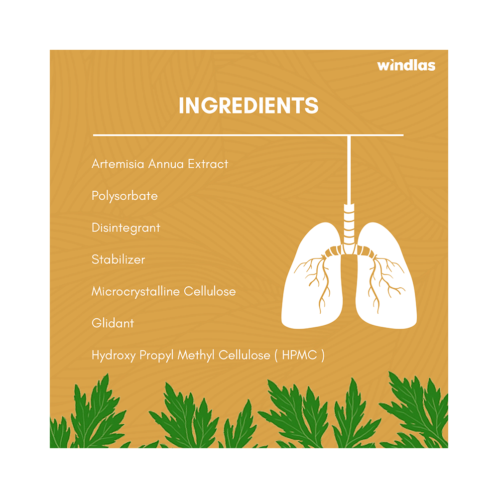 Windlas PulmoHeal Capsule - Image 10