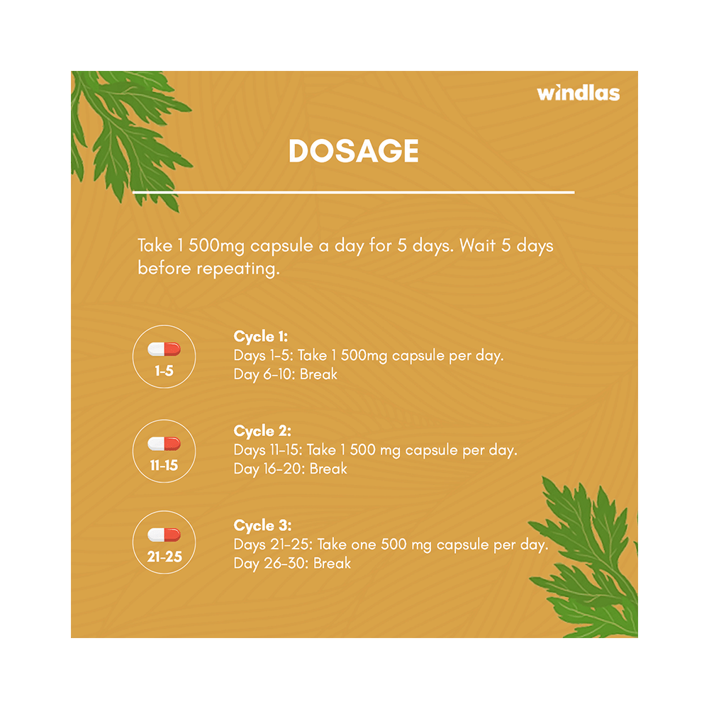 Windlas PulmoHeal Capsule - Image 7