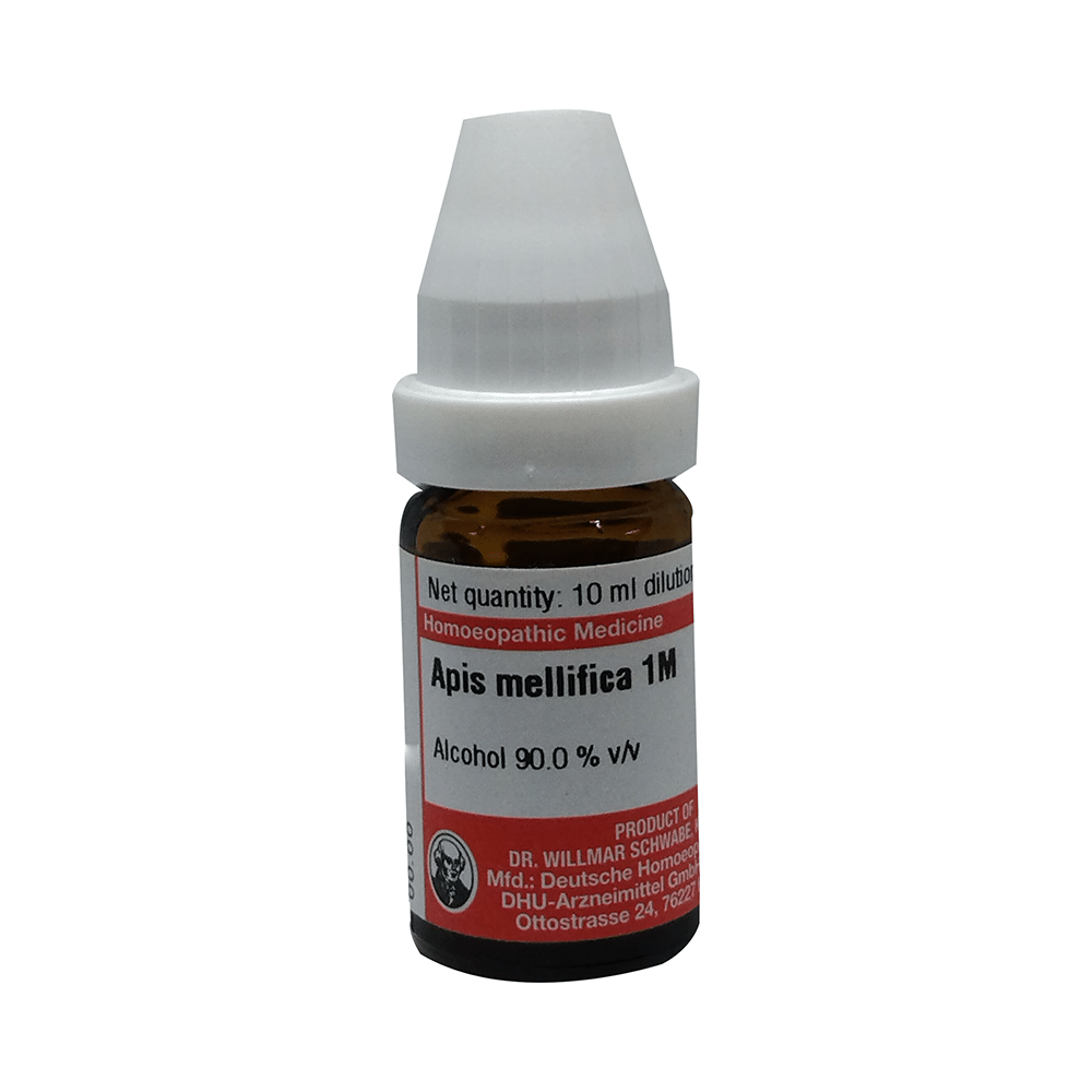 Dr Willmar Schwabe Germany Apis mellifica Dilution 1M - Image 1