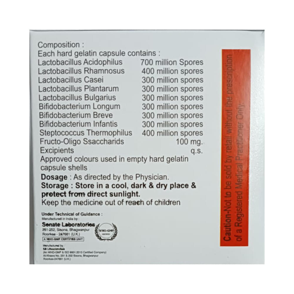 Gutspace Capsule - Image 2