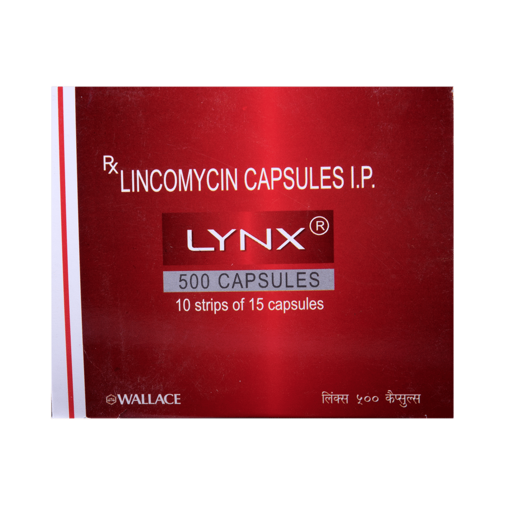 Lynx 500 Capsule - Image 2