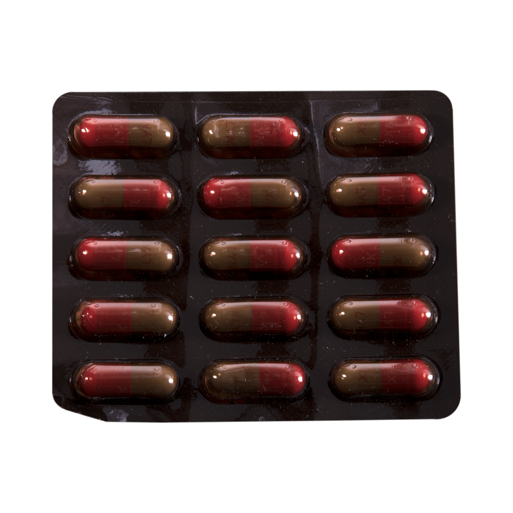 Lynx 500 Capsule - Image 4