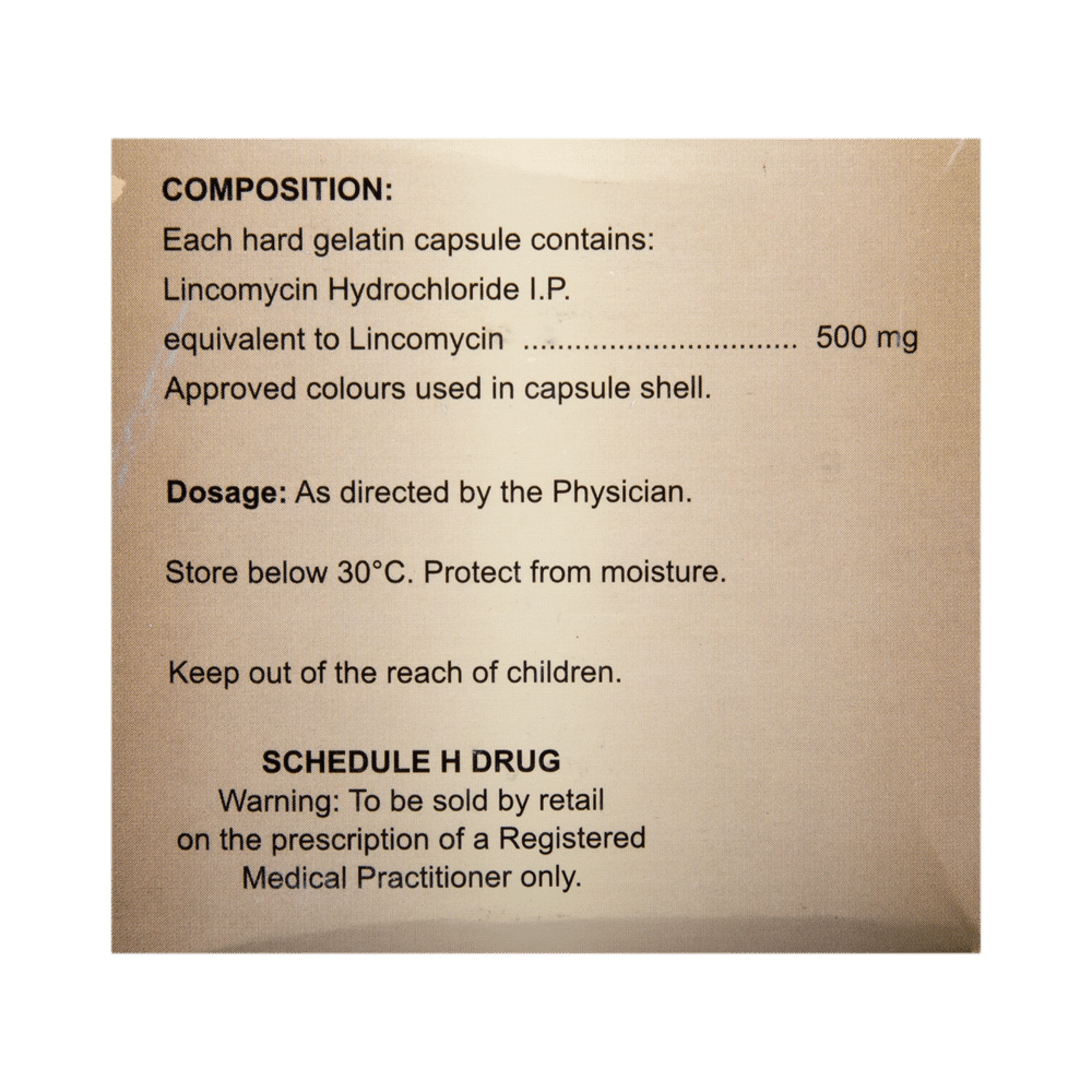 Lynx 500 Capsule - Image 3