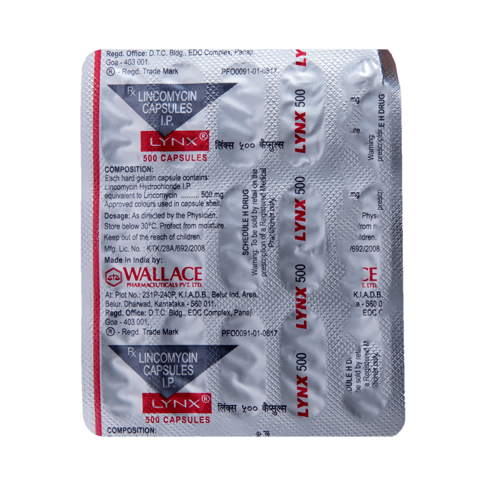 Lynx 500 Capsule - Image 5