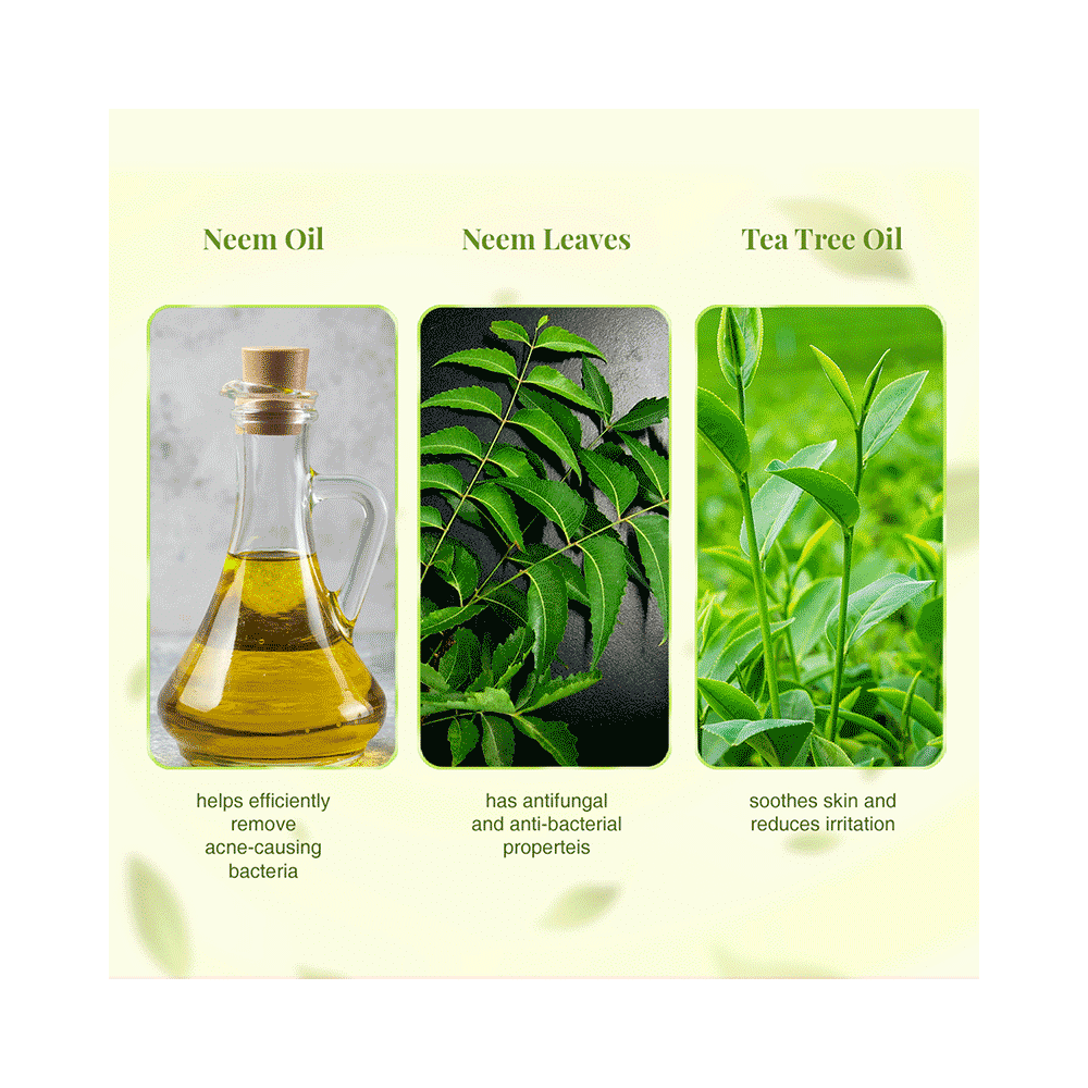 VLCC Skin Purifying Double Power Double Neem Face Wash (100ml Each) - Image 5