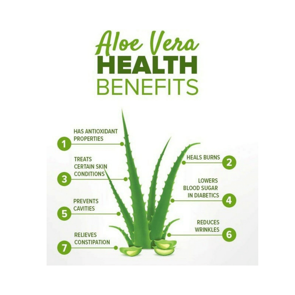 1ratti Aloe Vera Churna - Image 5