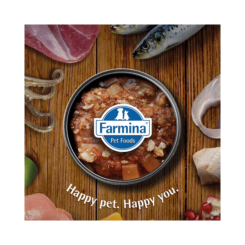 Farmina Pet Foods N&D Pumpkin Lamb and Blueberry Starter Puppy Medium & Maxi (285gm Each) - Image 5