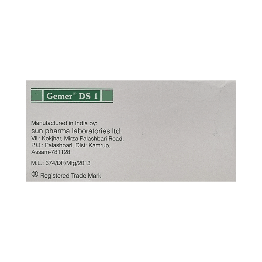 Gemer DS 1 Tablet PR - Image 2