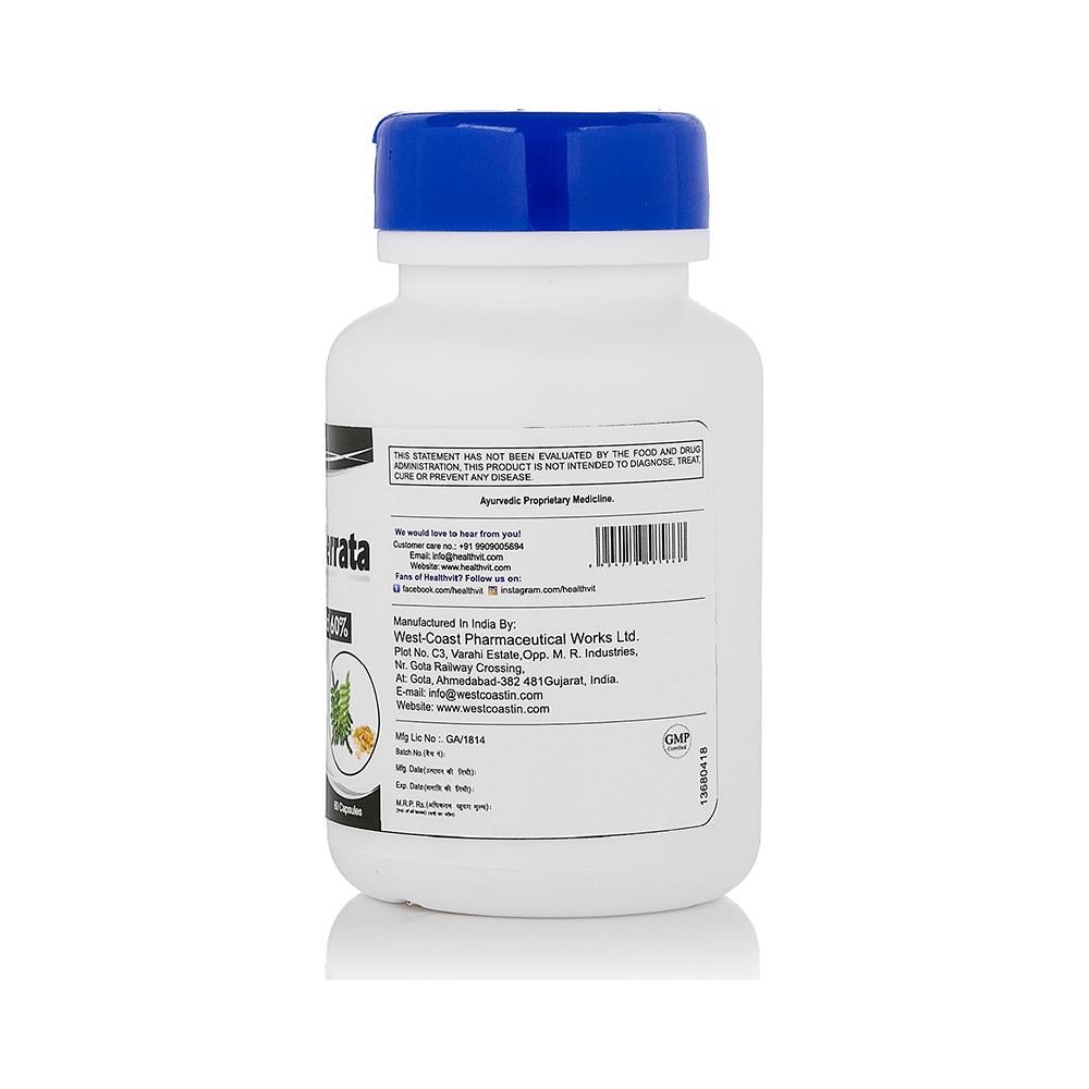 HealthVit Boswellia Serrata 500mg Capsule - Image 3