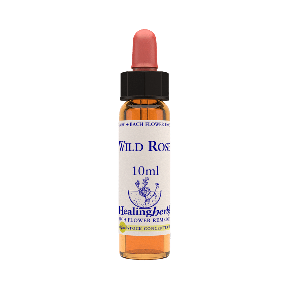 Healing Herbs Bach Flower Wild Rose