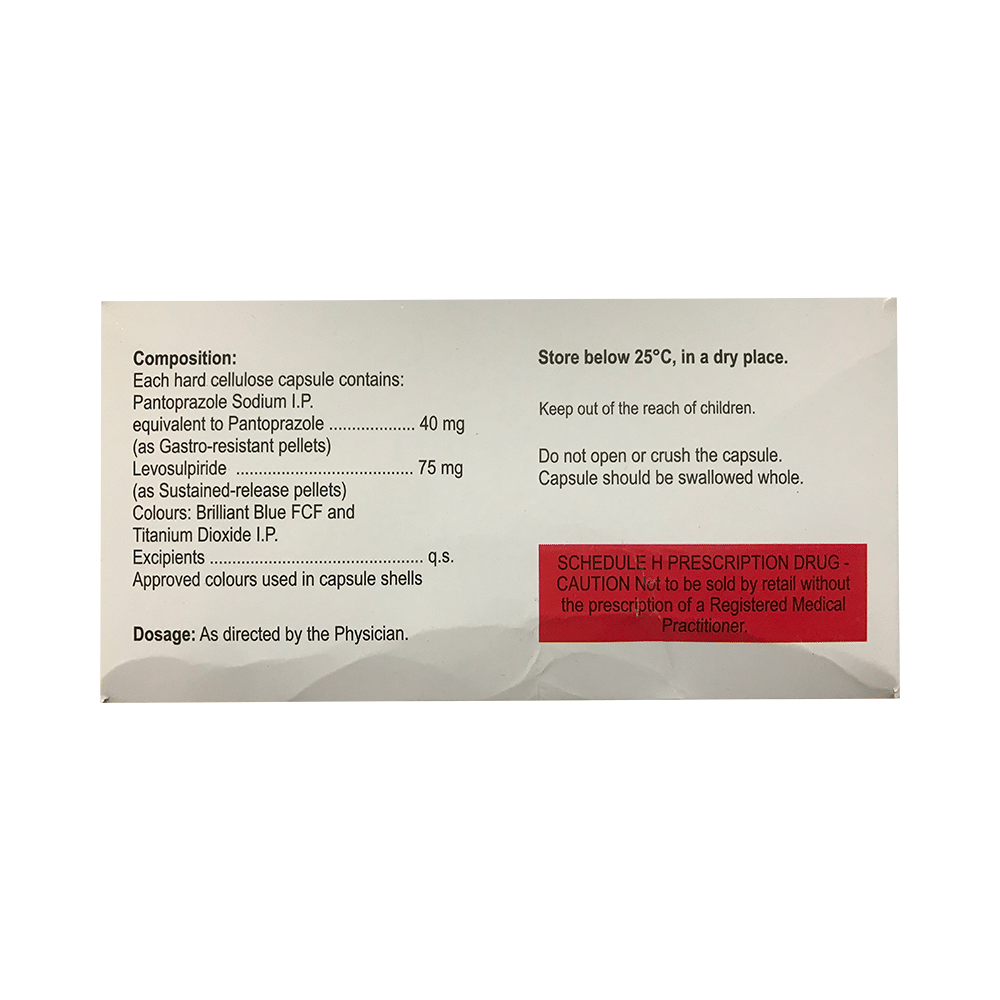 Zanpan L Capsule SR - Image 2