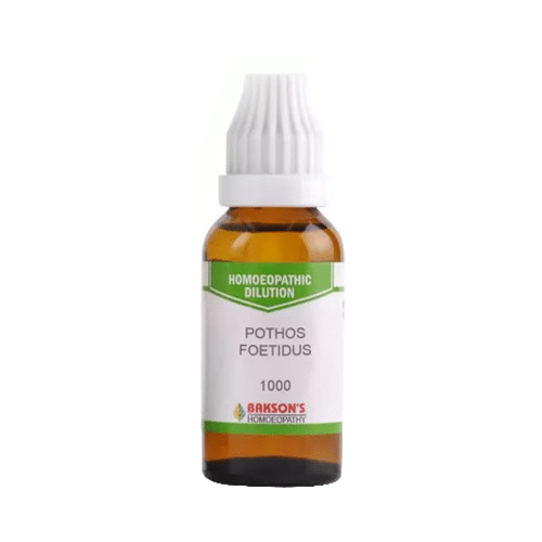 Bakson's Homeopathy Pothos Foetidus Dilution 1000 CH - Image 2