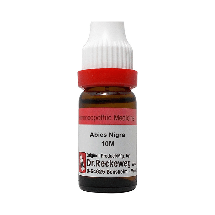 Dr. Reckeweg Abies Nigra Dilution 10M CH - Image 1
