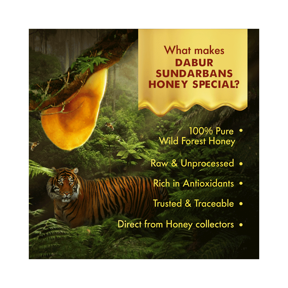 Dabur Sundarbans Forest Honey 100% Pure | World’S No.1 Honey Brand With No Sugar Adulteration - Image 7