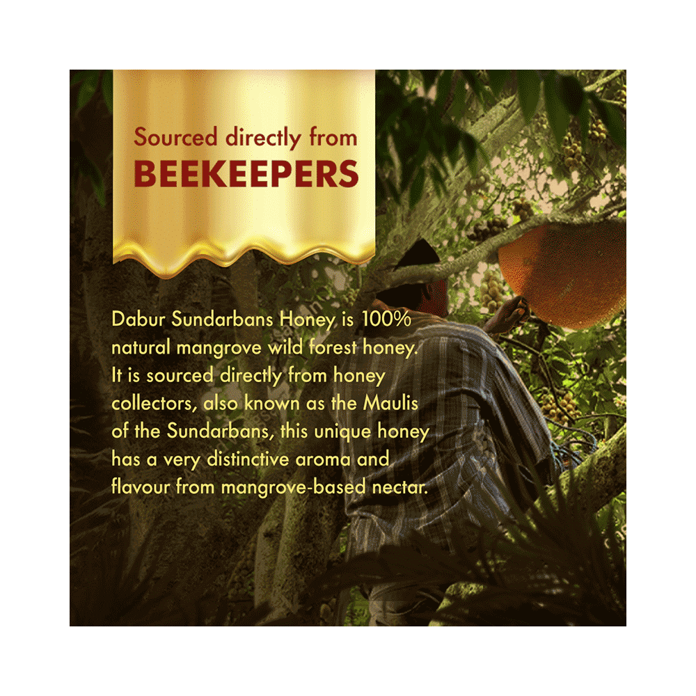 Dabur Sundarbans Forest Honey 100% Pure | World’S No.1 Honey Brand With No Sugar Adulteration - Image 6