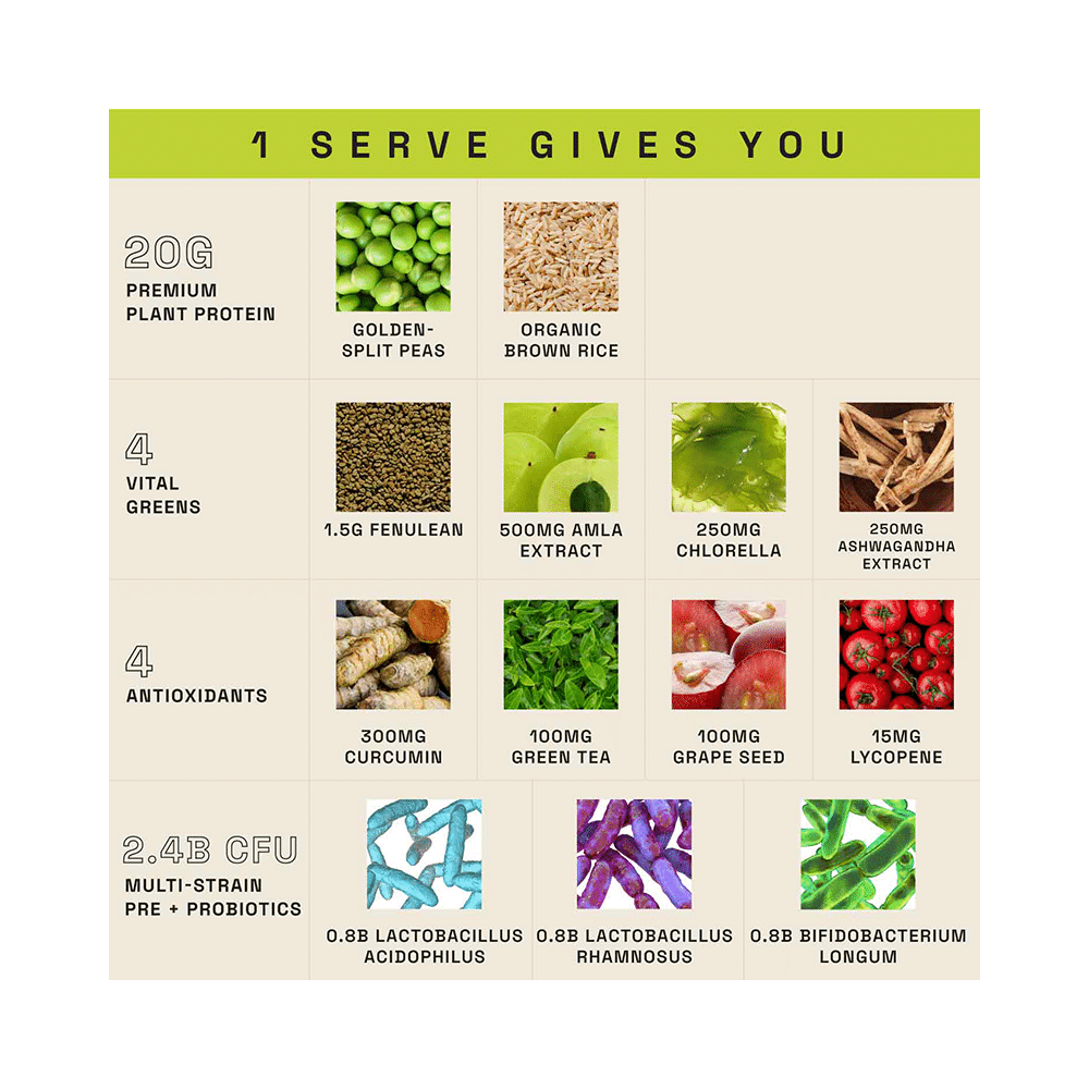 Ace Blend Daily 20g Vegan Plant Protein Powder & Superfoods Green Lemonade - Image 5