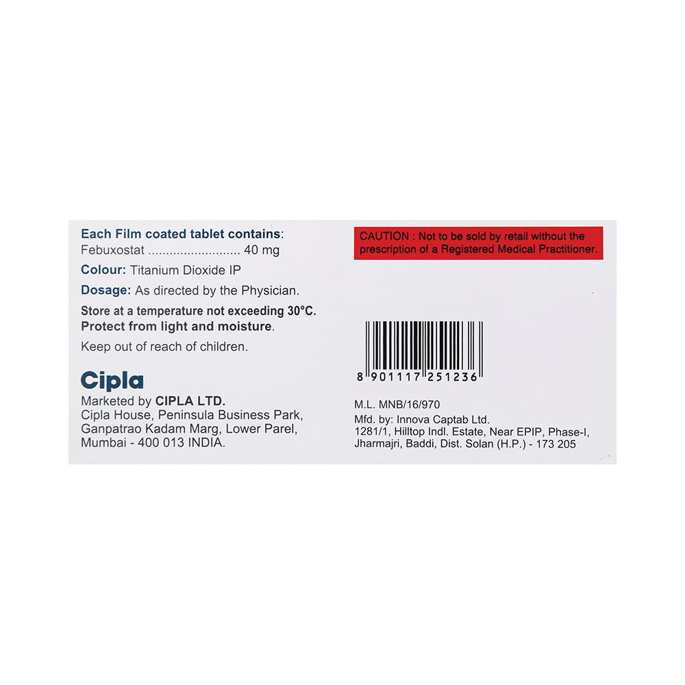 Febutec 40 Tablet - Image 2