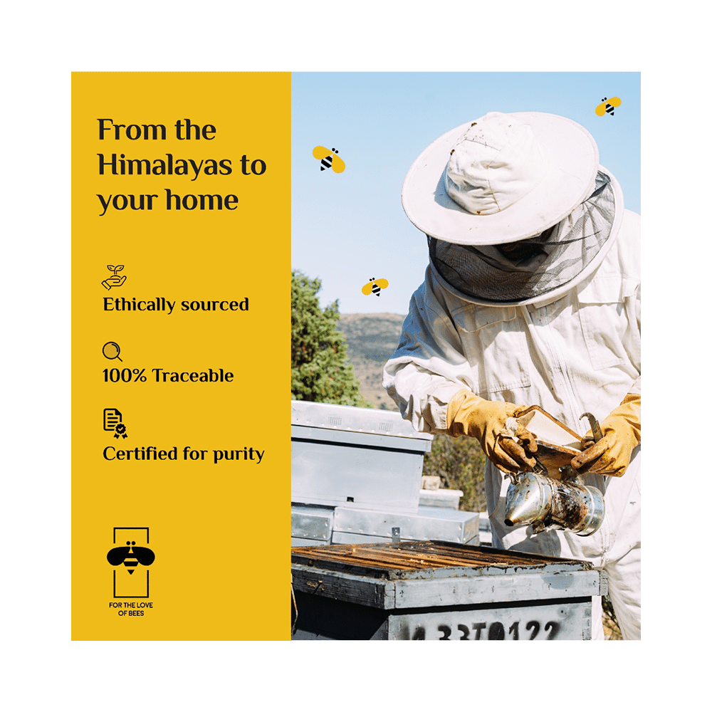 Honey Twigs Himalayan Mutliflora Honey - Image 4