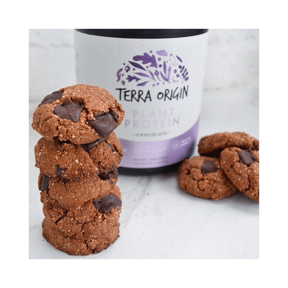 Terra Origin Plant Protein Vanilla Chai - Image 4