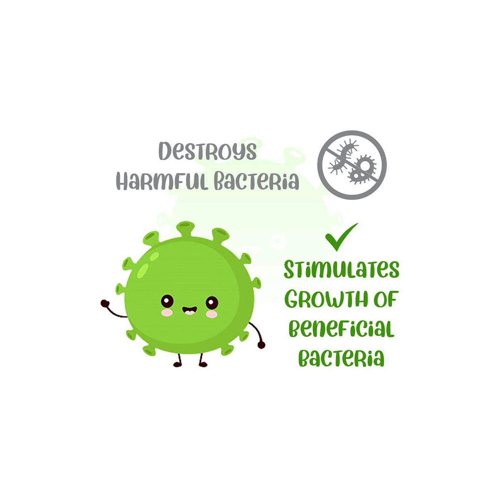 Vivaldis Endewor Natural Enzyme & Probiotic Based De-Worming Supplment Tablet - Image 2