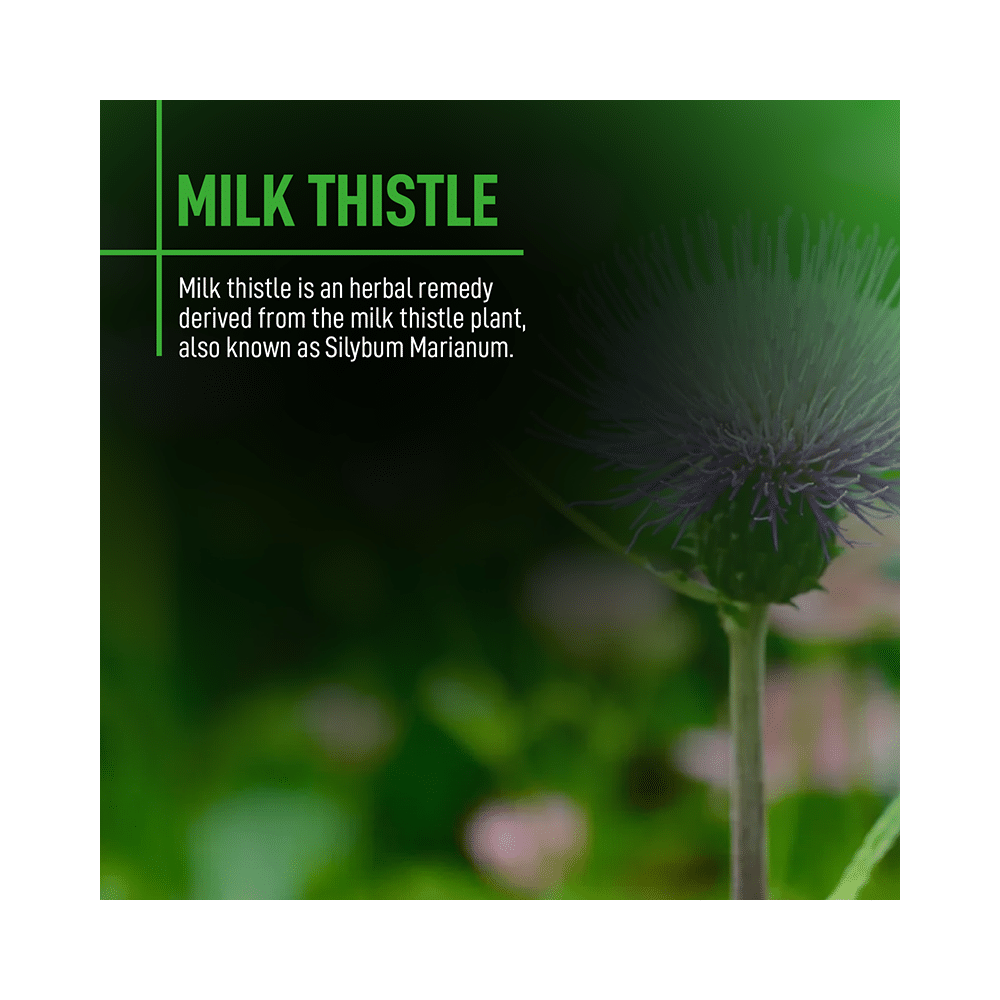 Muscle Monk Milk Thistle Capsule - Image 6