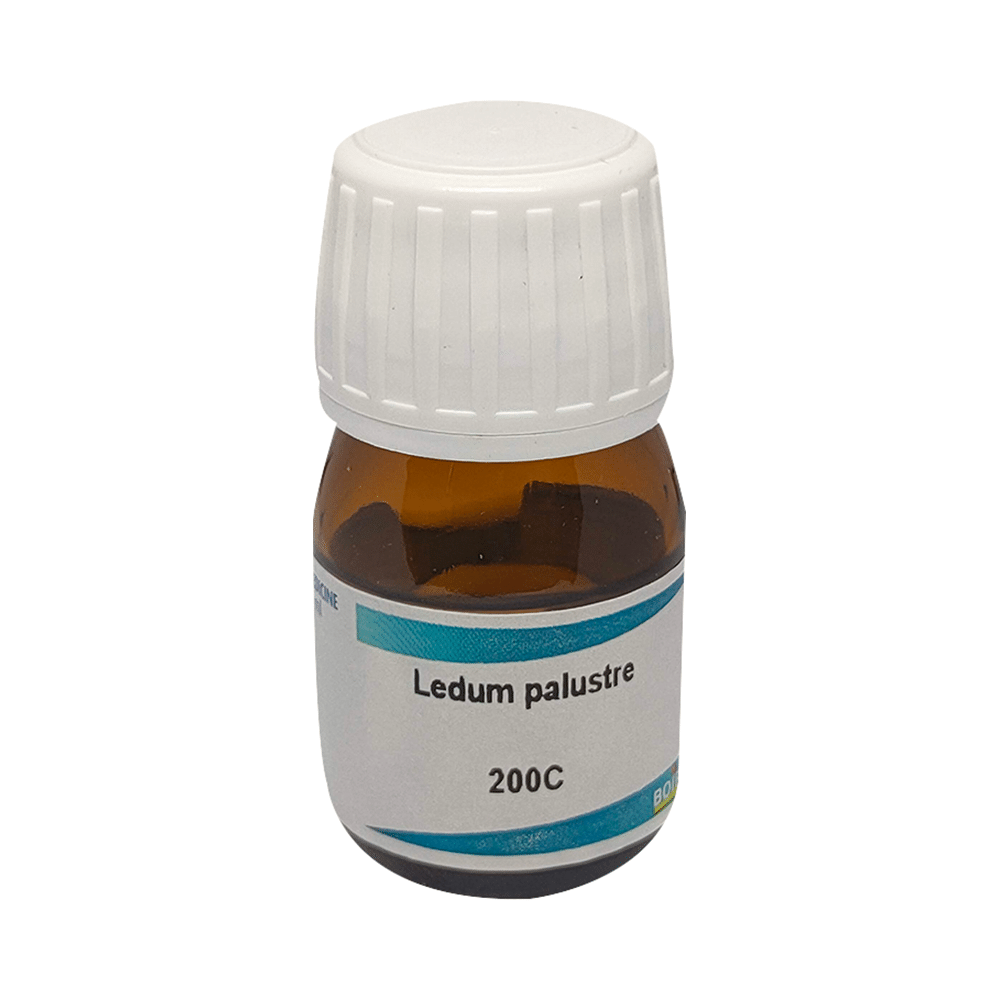 Boiron Ledum Palustre Dilution 200C