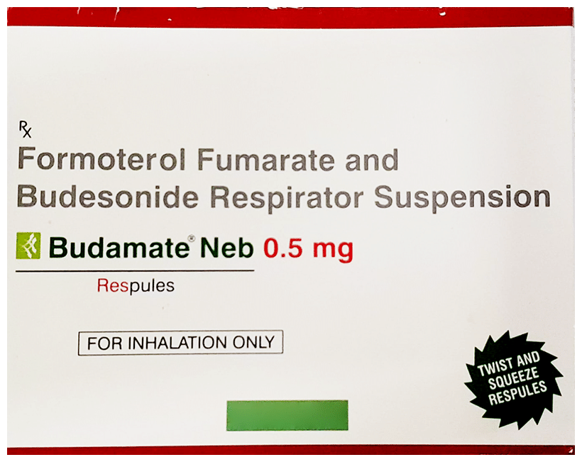Budamate Neb 0.5mg Respules (2ml Each)