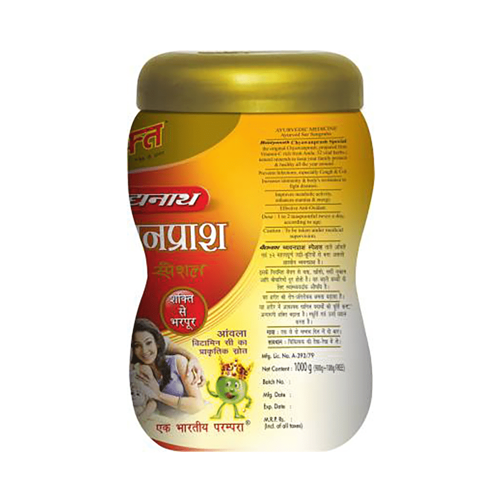 Baidyanath (Noida) Chyawanprash Special - Image 4