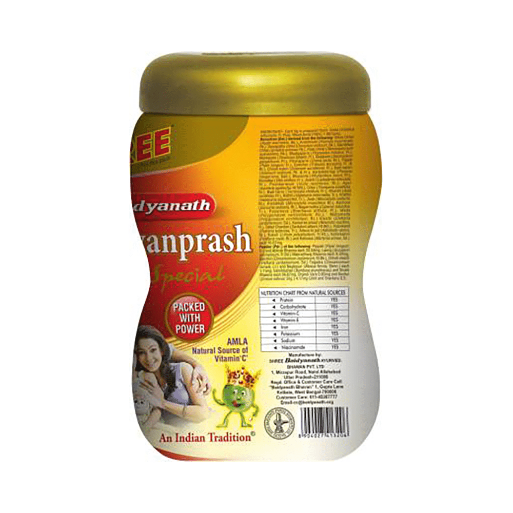 Baidyanath (Noida) Chyawanprash Special - Image 2