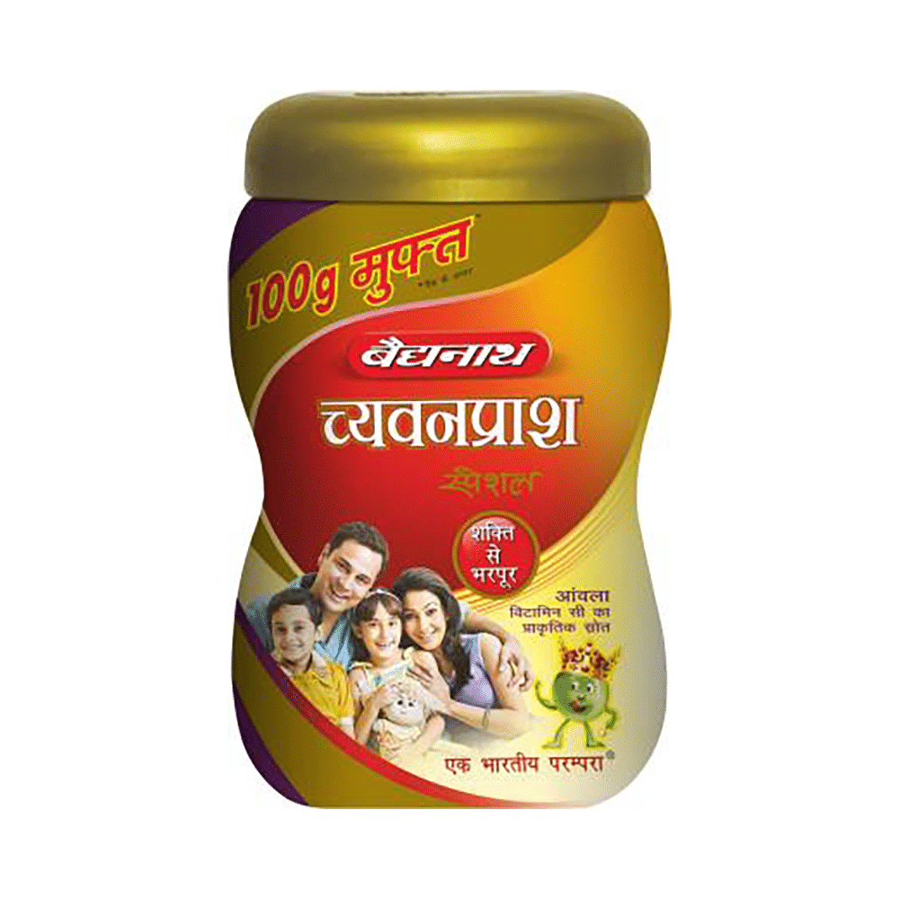 Baidyanath (Noida) Chyawanprash Special - Image 3