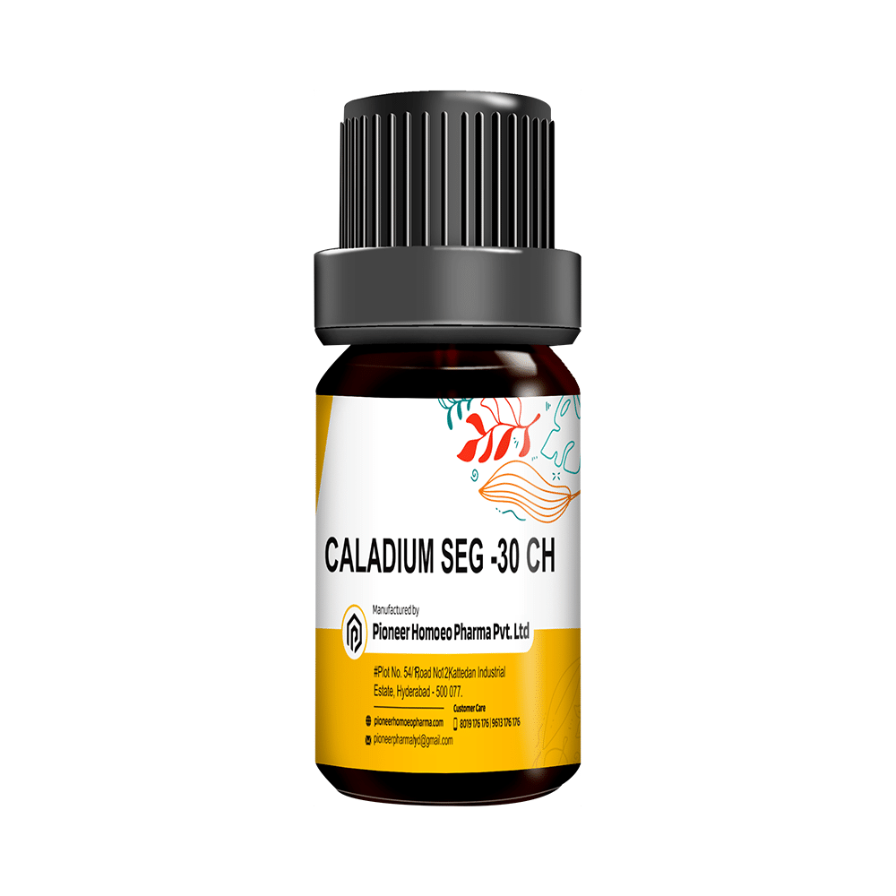 Pioneer Pharma Caladium Seg Globules Pellet Multidose Pills 200 CH - Image 1