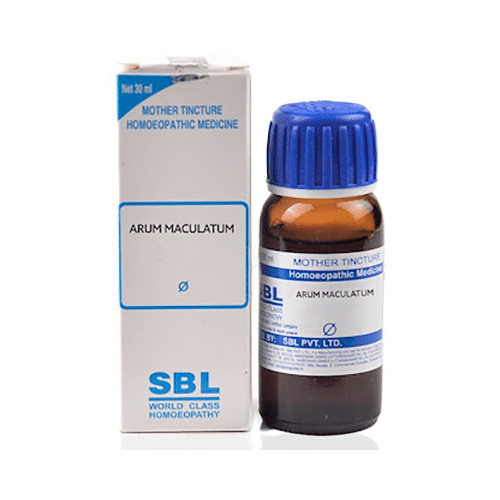 SBL Arum Maculatum Mother Tincture Q - Image 1