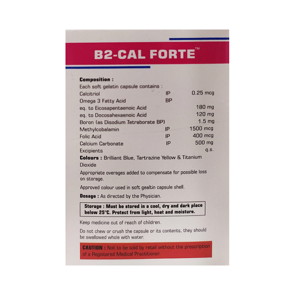 B2-Cal Forte Softgel Capsule - Image 2