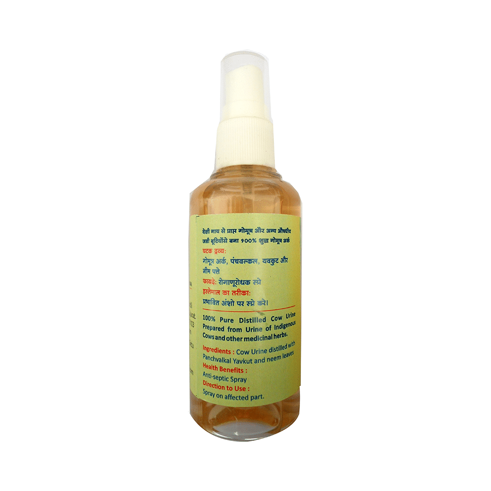 Kamdhenu Vran Shodhan Anti-Septic Spray - Image 2