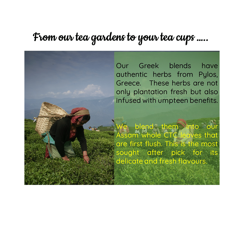 Radhikas Fine Teas Natural Romance Series Calming Greek Sage Tisane - Image 5